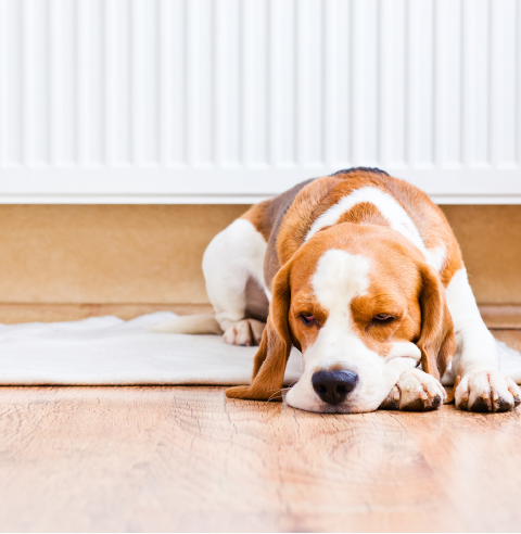 Bathroom Install Manchester
